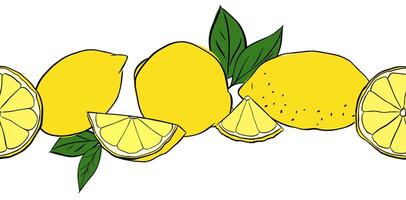 Lemons whole, slices and leaves horizontal seamless border background. graphic line ink illustration. Design for menu, package, cosmetic, textile. vector