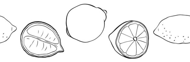 Lemons whole and cut seamless horizontal border. Black and white Citrus lemons line graphic ink art. Design for menu, package, cosmetic, textile, package vector