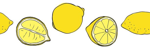 Lemons whole and cut seamless horizontal border. Citrus lemons line graphic ink art. Design for menu, package, cosmetic, textile, package vector