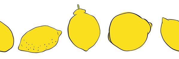Seamless border with lemons. Citrus lemons line graphic ink art. Design for menu, package, cosmetic, textile, package vector