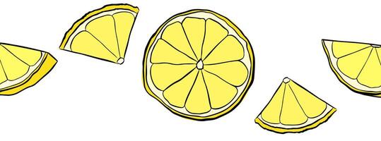 Citrus lemon slices horizontal seamless border. graphic line ink pattern background border. Design for menu, package, cosmetic, textile, package. vector