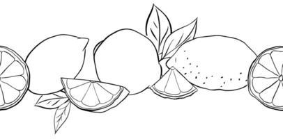 Lemons whole, slices and leaves horizontal seamless border background. Black and white graphic line ink illustration. Design for menu, package, cosmetic, textile. vector