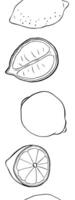 Lemons cut and whole seamless vertical border. Black and white Citrus lemons line graphic ink art. art for food design, recipe, cook book, packages, menu, food ads and decor vector