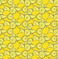Lemons whole and cut close up seamless pattern. graphic line ink yellow illustration on transparent background. Ideal for menu, package, cosmetic, textile, cards vector