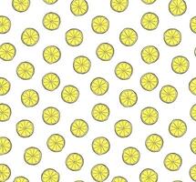 lemon slices seamless pattern. Graphic line ink illustration hand drawn isolated on white background. art for food design, recipe, cook book, packages, menu, food ads and decor vector