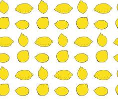 Lemon seamless pattern. yellow graphic line ink illustration Trendy summer background. print for fabric or wallpaper. vector