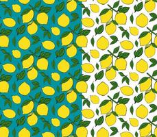 Pattern with lemons on the branches. Ripe lemons on branches with green leaves in a colored seamless pattern. Graphic line ink illustration for package, kitchen design, fabric and textile. vector