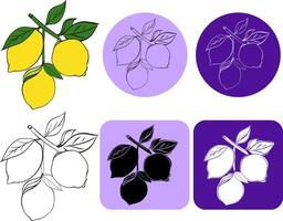 isolated lemon tree brunch with lemons logo. Graphic line ink illustration colorless black and white contour line easy drawing for you business, web, package, sticker, prints vector