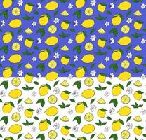 citrus lemons whole and cut slices with leaves and white flowers seamless pattern. graphic line ink illustration on transparent background. Ideal for menu, package, cosmetic, textile, cards vector