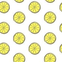 lemon slices seamless pattern. Graphic line ink illustration isolated on transparent background. art for food design, recipe, cook book, packages, menu, food ads and decor vector