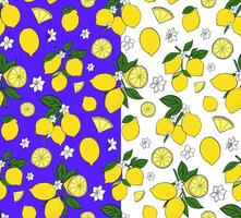 lemons on the branches with slices and flowers seamless pattern. Graphic line ink illustration for package, kitchen design, fabric and textile. vector
