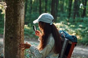 With magnifying glass. .,Girl is in the forest at summer day time discovering new places photo