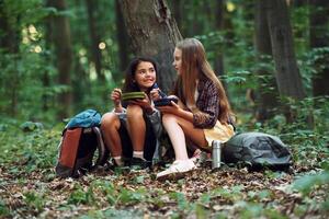 Eating by using plastic forks and plates.. Two girls ,is in the forest having a leisure activity, discovering new places photo