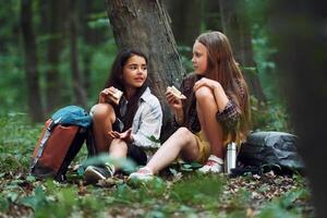 Two girls is in the forest having ,a leisure activity, discovering new places photo