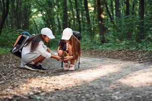 Looking at conifer cone. .Two girls is in the forest having a leisure activity, discovering new places photo