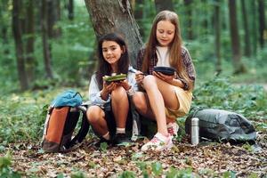 Eating by using plastic forks and plates. Two girls is in the forest having a leisure activity, discovering new places photo