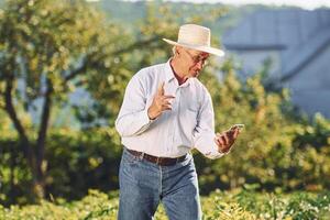 Using smartphone. Senior man is standing in the garden at the daytime photo