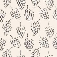 Abstract Seamless Pattern with vineyard and grape vine. Hand drawn background with Grapes from Italian Tuscany province or French fields, fruits motif. Food illustration for card, label, paper vector