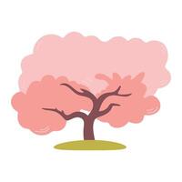 Beautiful pink cherry tree isolated on white background. botanical element for spring. Pink blooming tree. Cherry or sakura tree . vector