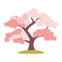 Beautiful pink cherry tree isolated on white background. botanical element for spring. Pink blooming tree. vector