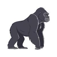 Western Gorilla in Natural Habitat vector