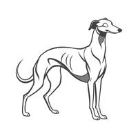 Whippet Dog in Action vector