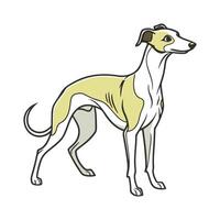 Whippet CloseUp Profile vector