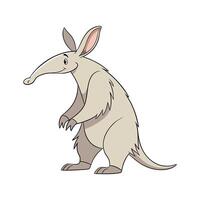 Aardvark Illustration on White Background vector