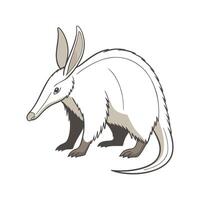 Charming Aardvark Illustration on White vector