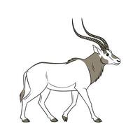 Charming Addax Illustration on White vector