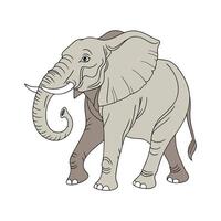 Majestic African Elephant on White Background vector
