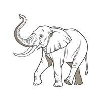 Adorable African Elephant Graphic on White vector