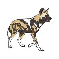 Charming African Wild Dog Design vector