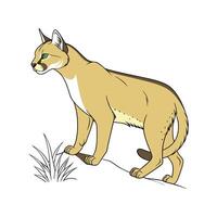 Adorable African Golden Cat Graphics vector
