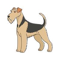 Charming Airedale Terrier Design vector