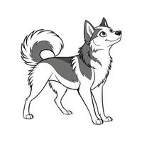 Alaskan Klee Kai on White Background vector
