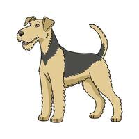 Adorable Airedale Terrier Graphic vector