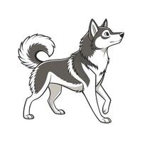 Adorable Alaskan Klee Kai Design vector