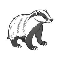 Charming American Badger Design vector