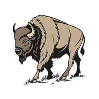 Charming American Bison Design. vector