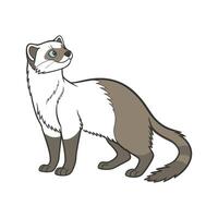 Charming American Bobtail Graphic vector
