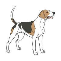 Adorable American Foxhound Graphic vector