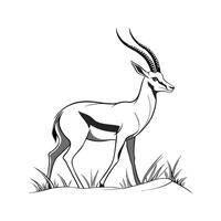 Charming Antelope Design vector