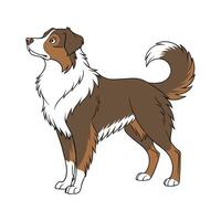Charming Australian Shepherd Design vector