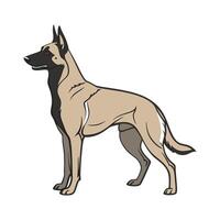 Charming Belgian Corso Design vector