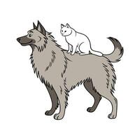 Belgian Sheepdog and Manx Cat on White vector