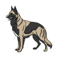 Charming Belgian Sheepdog Design vector