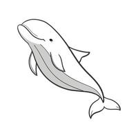 Stylish Beluga Whale Illustration vector