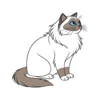 Charming Birman Cat Design vector