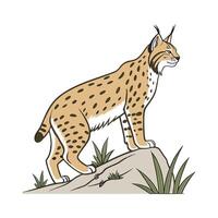 Charming Bobcat Design vector